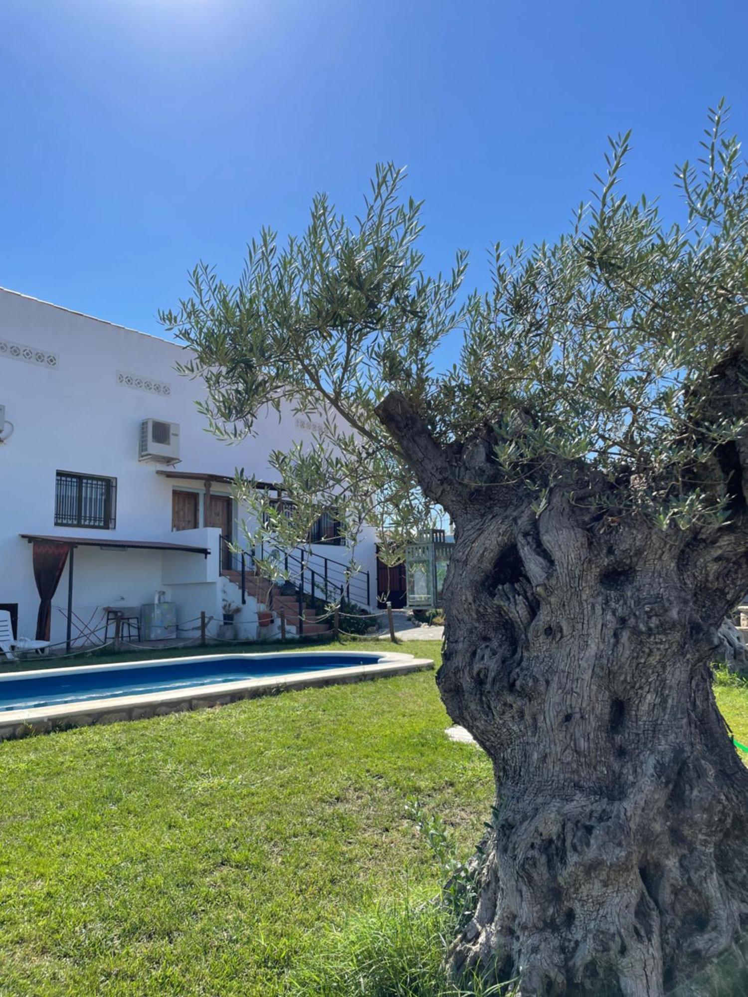 Casa Rural El Miajon Villa El Campo  Екстериор снимка