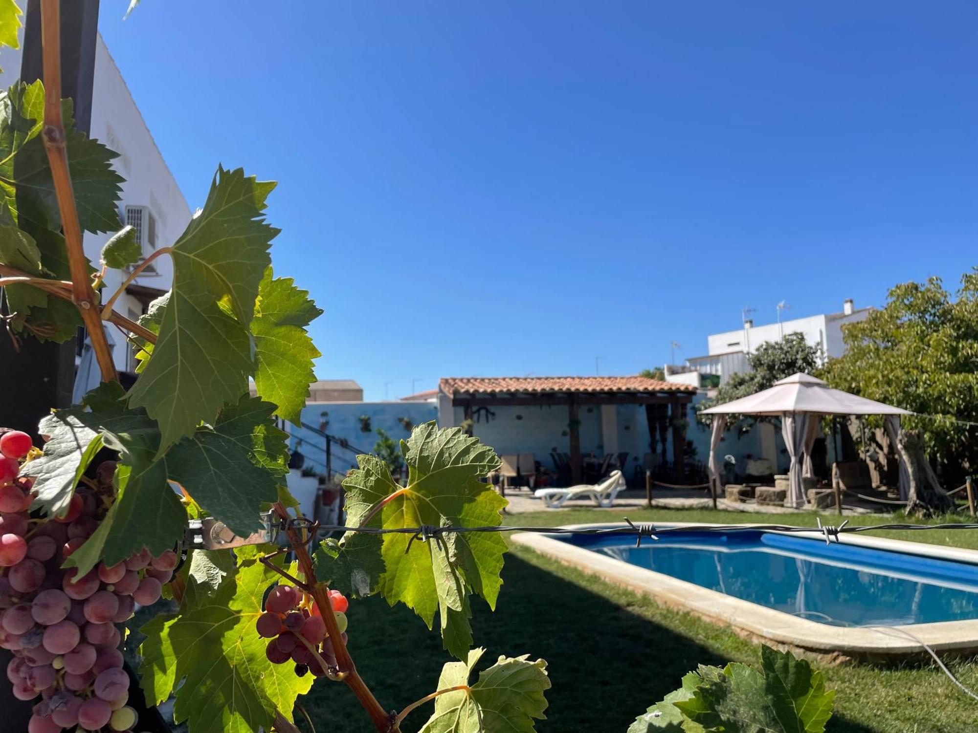 Casa Rural El Miajon Villa El Campo  Екстериор снимка